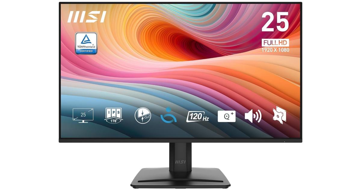 MSI Pro MP251 E2 25" IPS Full HD 120Hz 1ms HDR Ready EyesErgo Anti-Flicker Less Blue Light Eye-Q Check w/ Speakers , VGA & Display Port & HDMI - Black