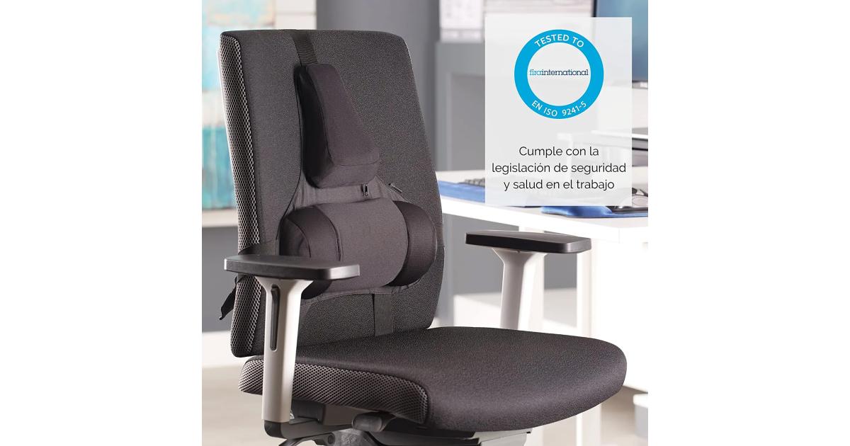 Fellowes Professional Series Ultimate Back Support 3 Memory Foam Section w/ Microban Protection - Black